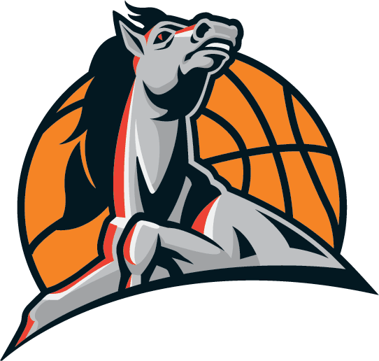 Idaho Stampede 2006-2012 Secondary Logo iron on heat transfer